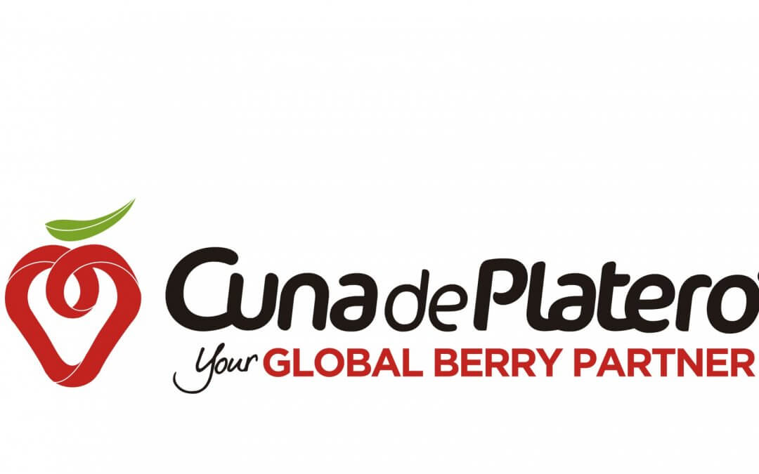 moguer cuna de platero